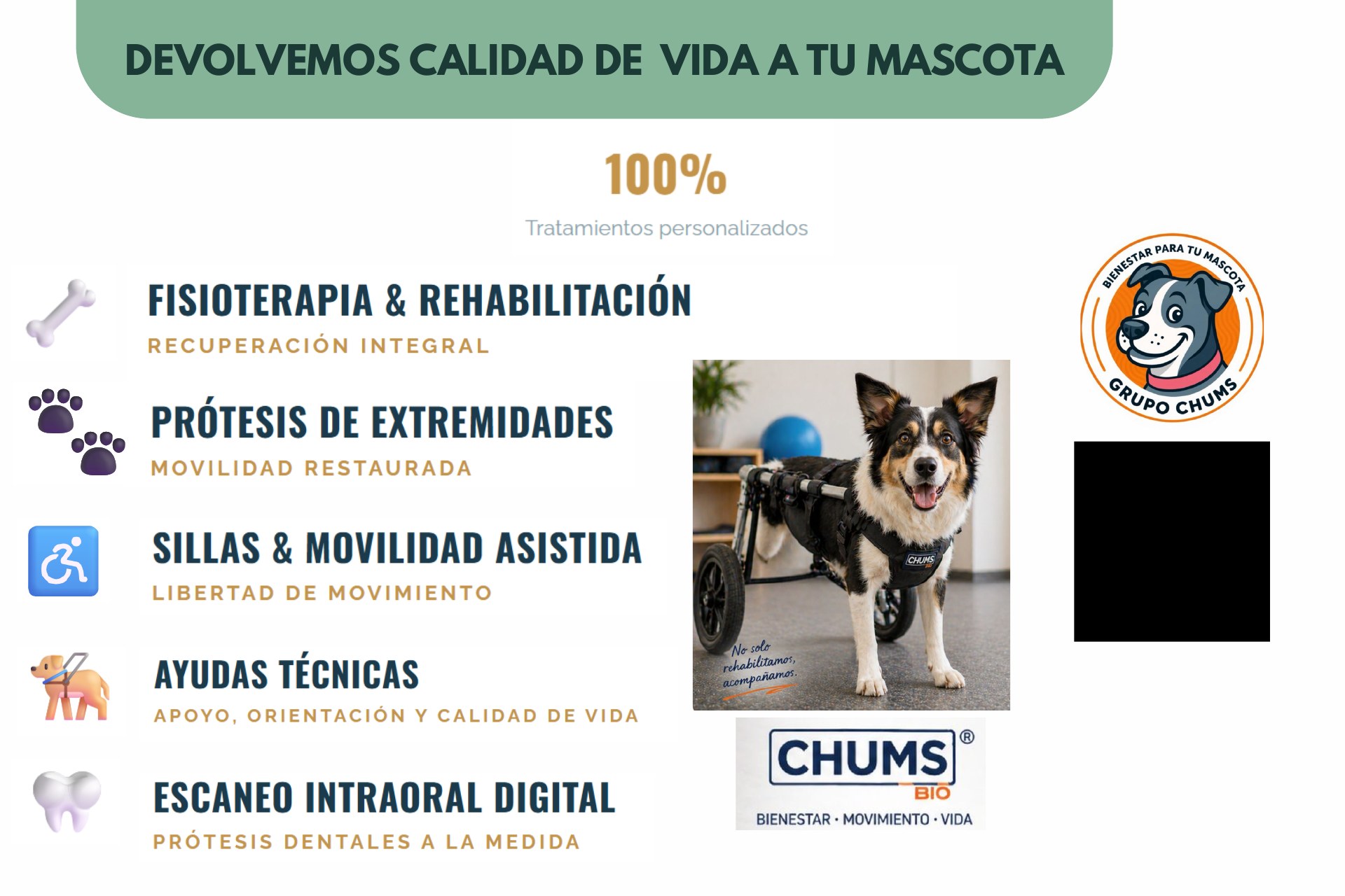Servicios Chums Bio: fisioterapia, prótesis, sillas de movilidad, ayudas técnicas y escaneo intraoral